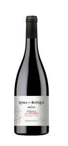 Loma del Bosque 2024