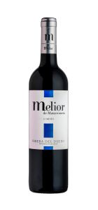 Melior 12 2023