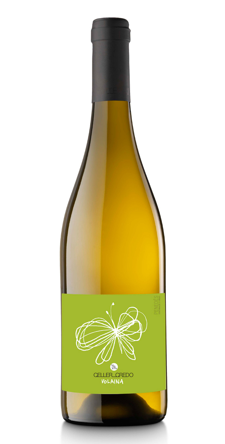 Botella del vino blanco Volaina 2022