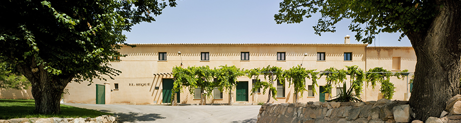 Bodegas y Viñedos El Sequé