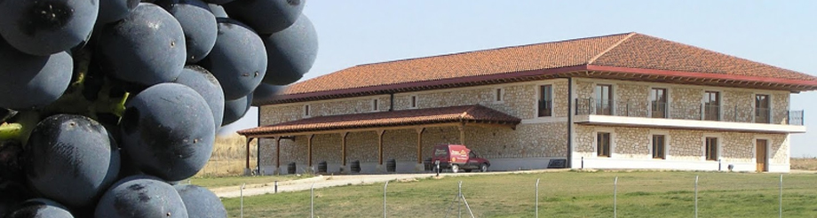 Bodegas Raíz