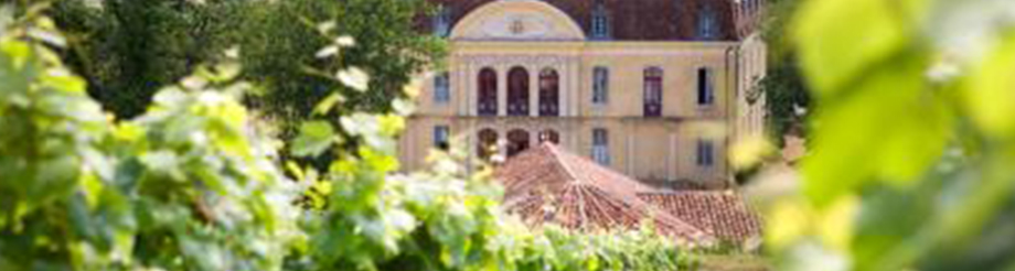 Bodegas Alain Brumont-Montus Bouscassé