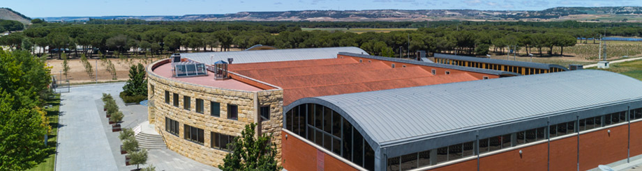 Bodegas y Viñedos Alión