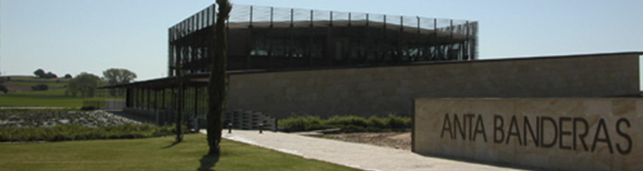 Anta Banderas