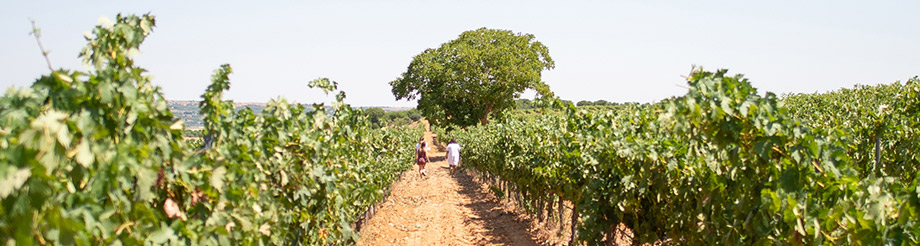 Palacio de Villachica