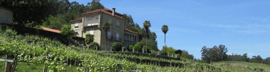 Adega Pazos de Lusco