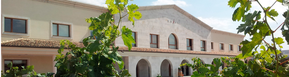 Bodega Emina Ribera