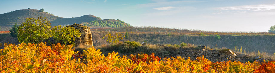 Bodega Inspiración Valdemar