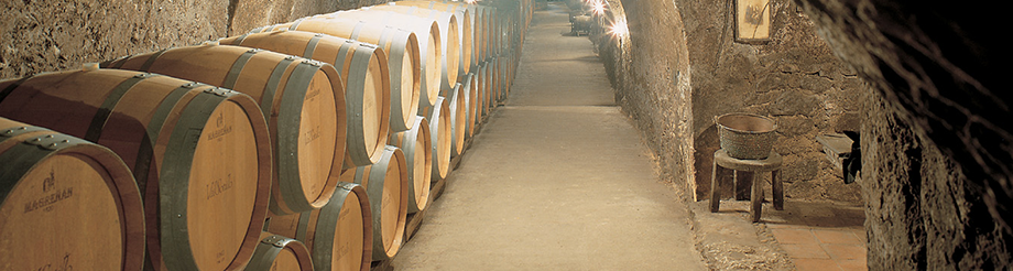 Bodegas Ismael Arroyo - Valsotillo