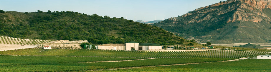 Bodegas Juan Gil