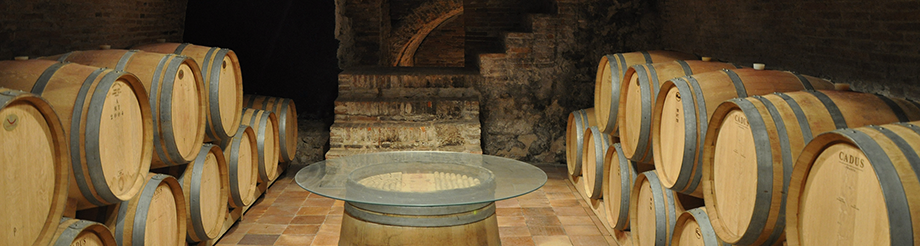 Bodegas Leda Viñas Viejas