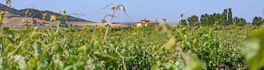 Bodegas Los Astrales