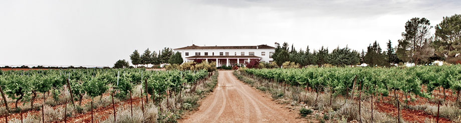 Pago Finca Élez
