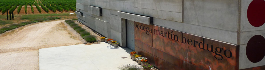 Bodega y Viñedos Martín Berdugo