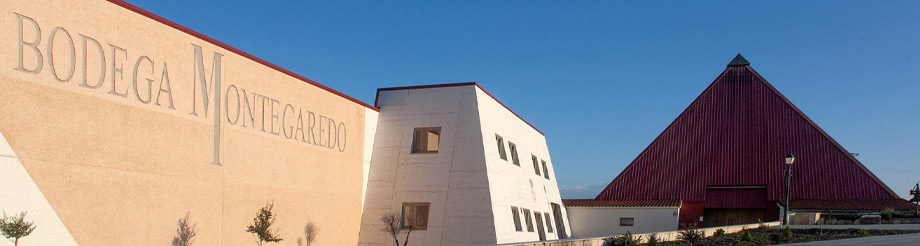 Bodegas Montegaredo