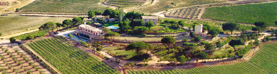 Bodega y Viñedos Uribes Madero