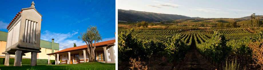 Bodega Pazos del Rey