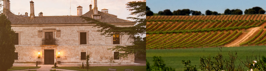 Bodegas y Viñedos Pradorey