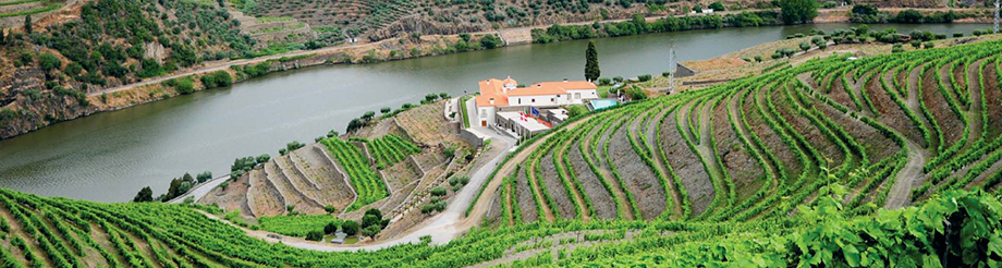 Quinta do Pégo