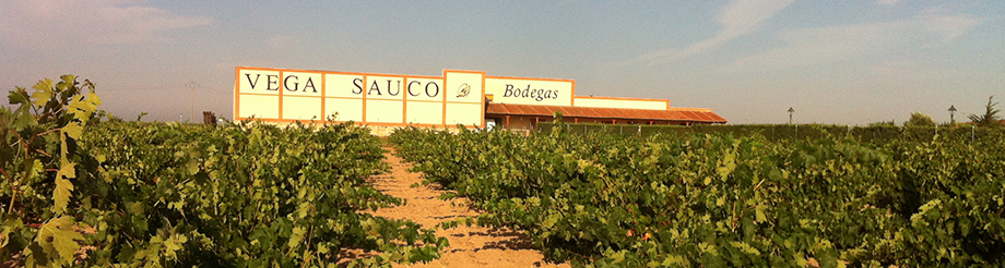 Bodegas Vega Saúco