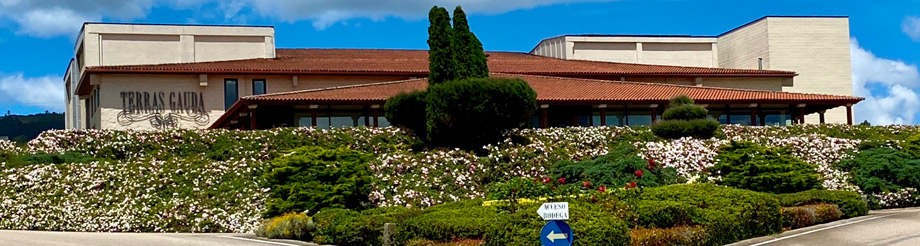 Bodegas Terras Gauda SA