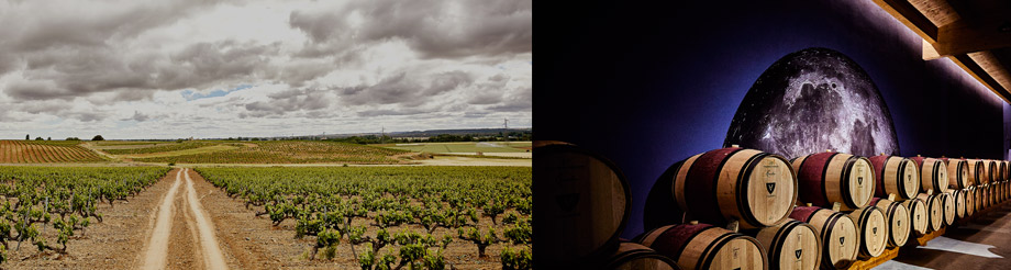 Bodegas y Viñedos Valderiz