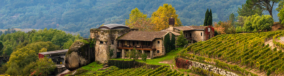 Viña Meín - Emilio Rojo