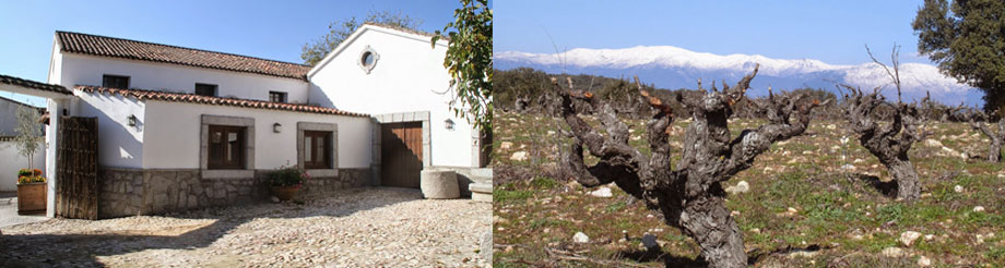 Bodegas Jiménez - Landi