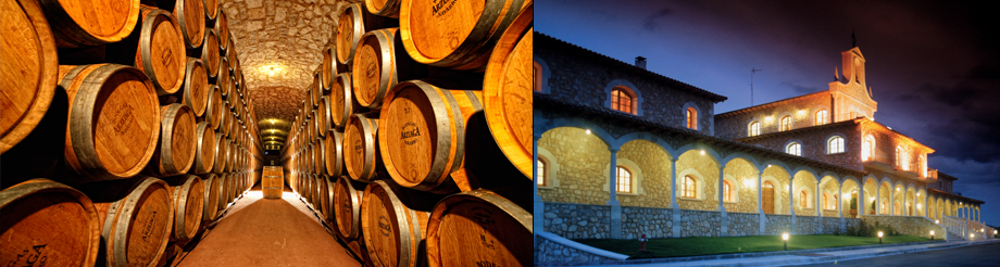 Bodegas Arzuaga Navarro