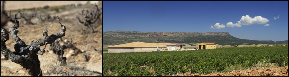 Bodegas Atalaya