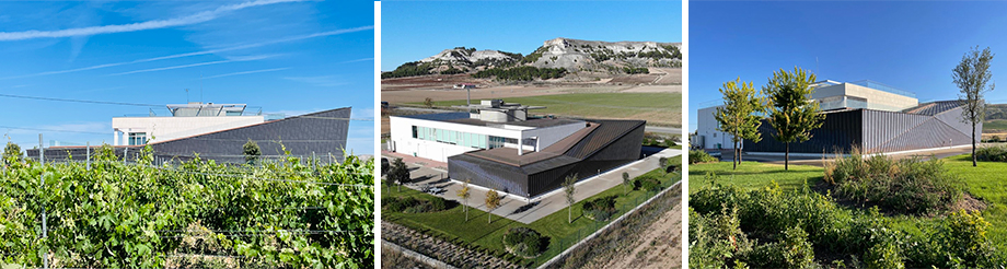 Bodegas Avelino Vegas