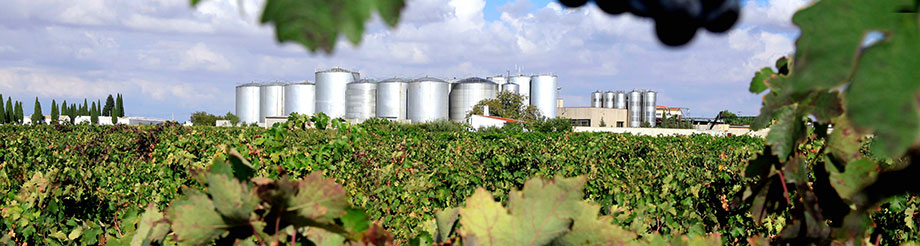 Bodegas Campos Reales