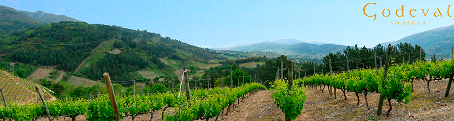 Bodegas Godeval
