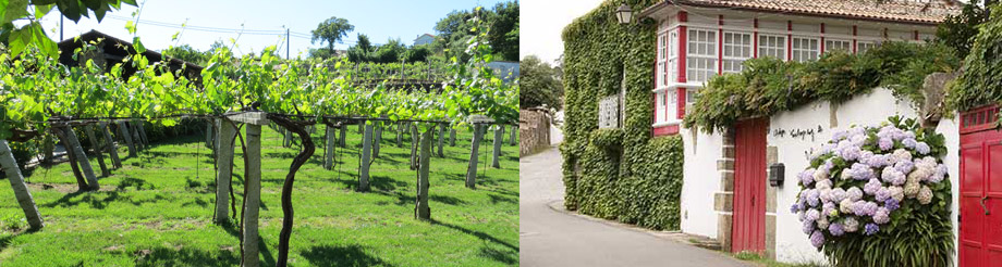 Bodegas Santiago Ruiz