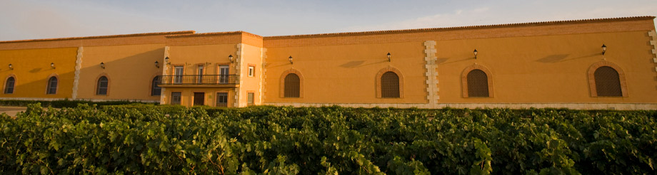 Bodegas Sobreño