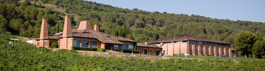 Bodegas y Viñedos Viña Mayor