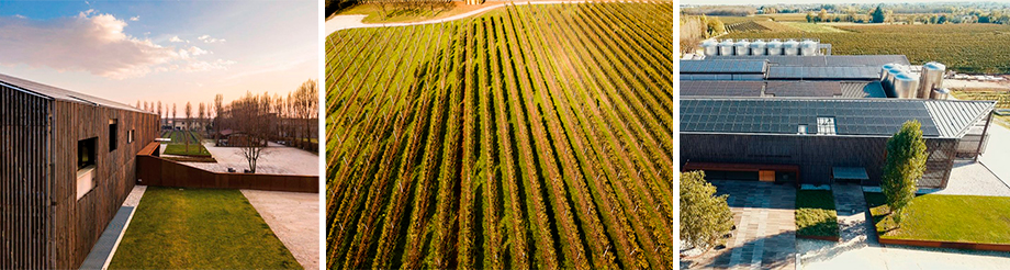 La Cantina Pizzolato