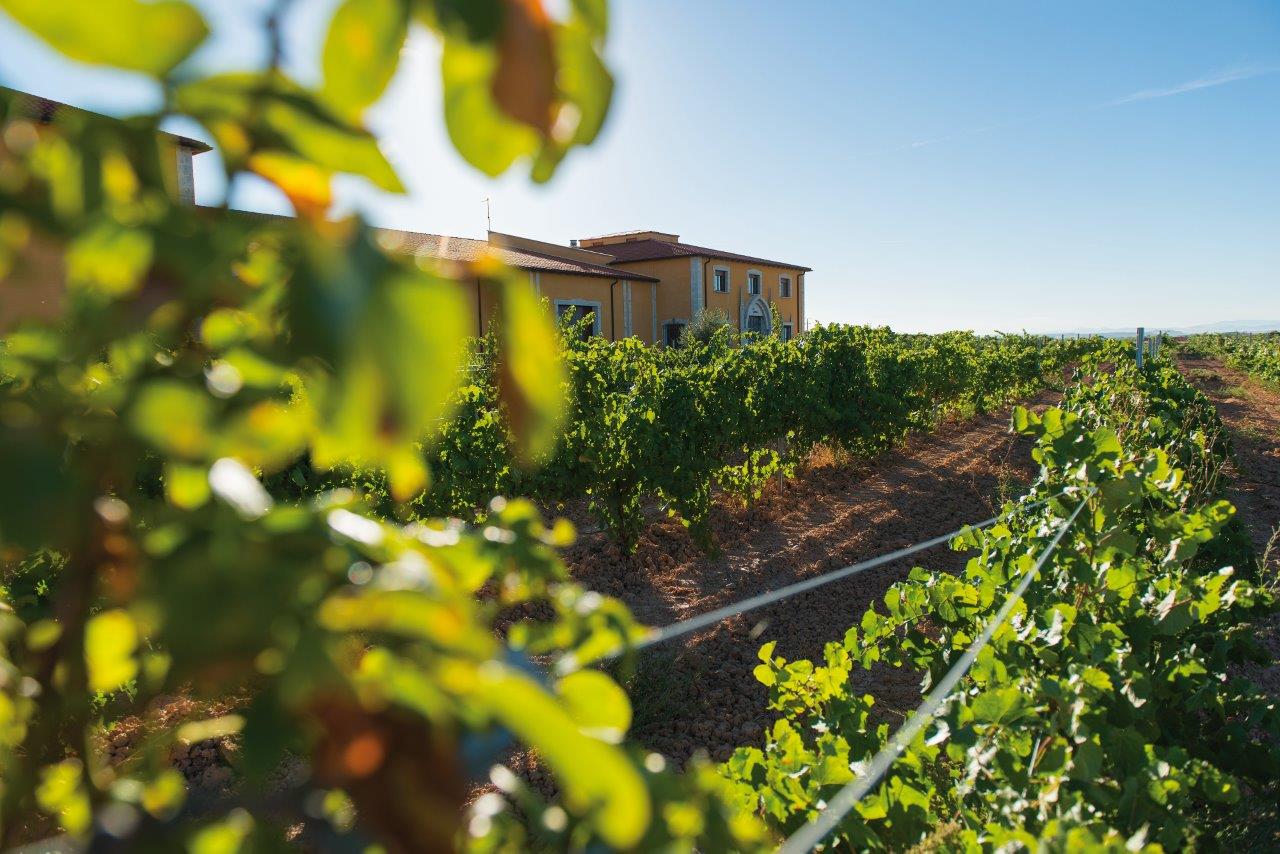 Bodegas Finca La Capilla
