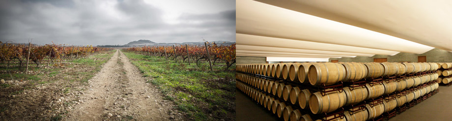 Bodegas Carlos Serres