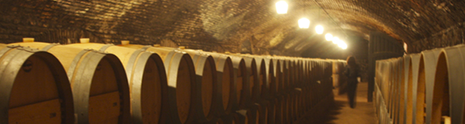 Bodegas Concha y Toro