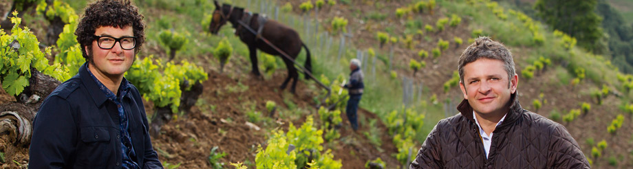 Descendientes de J. Palacios