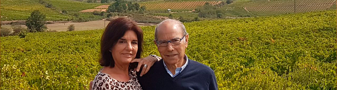 Estévez Bodegas y Viñedos