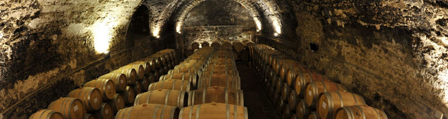 Bodegas y Viñedos de Cal Grau