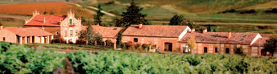 Finca Caserío de Dueñas