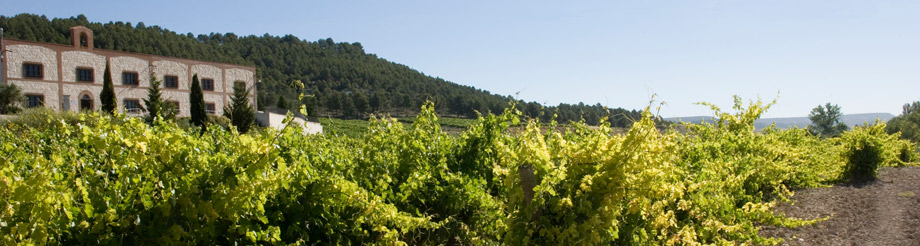 Bodega Matarromera