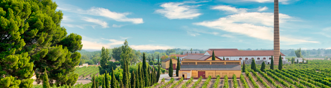 Bodegas Isidro Milagro