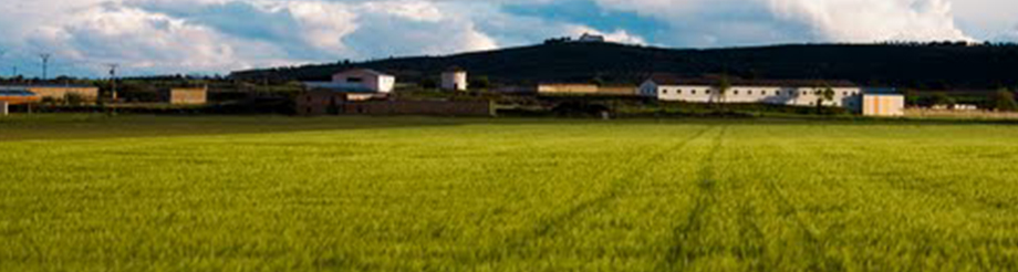 Bodega Cooperativa Jesús Nazareno