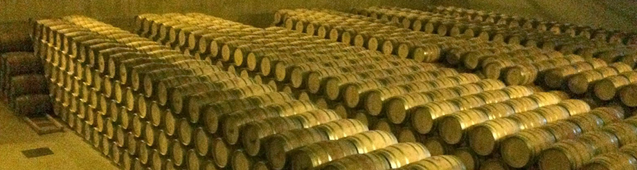 Bodegas y Viñedos Labastida