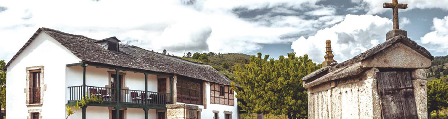 Bodegas y Viñedos Luna Beberide