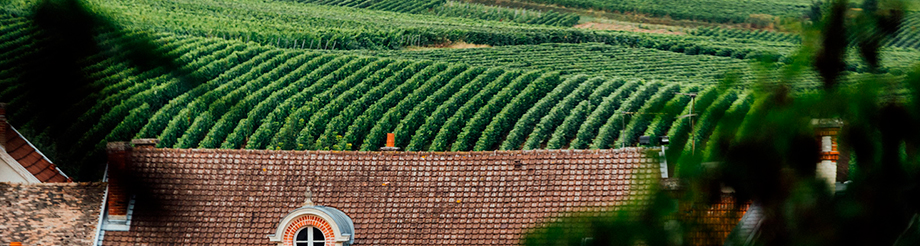 Champagne Canard-Duchêne